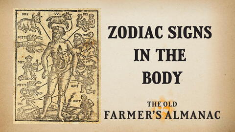 Zodiac Signs of the Body 2024 The Man of Signs The Old Farmer s